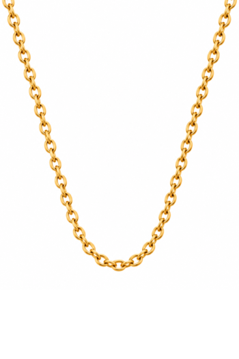 Gold Circular Chain